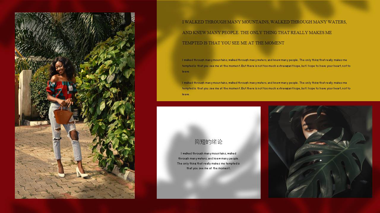 时尚风格 (26).pptx